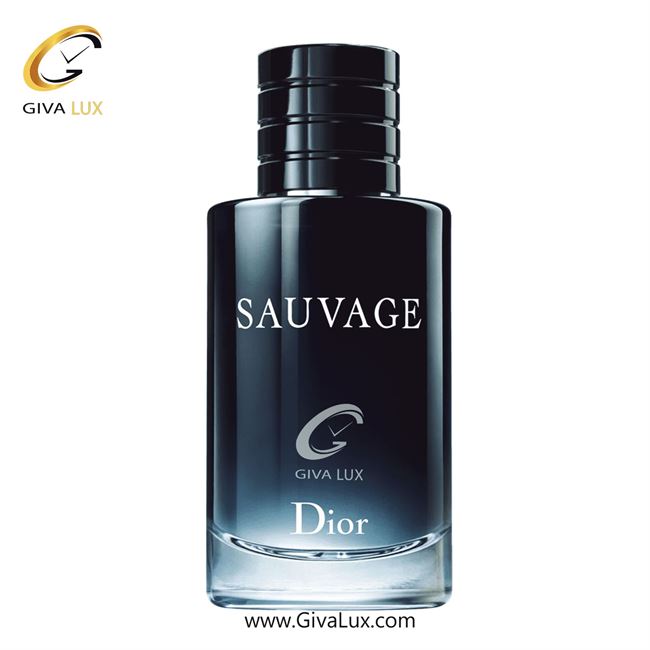   Dior Sauvage edt.jpg